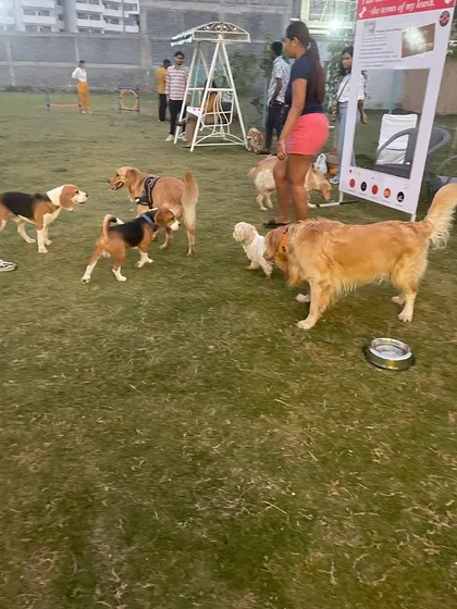 Socialization is so important! Here's a look at our "DOG-JOG" event, where pups and their parents can meet, play, and become part of our wonderful community.