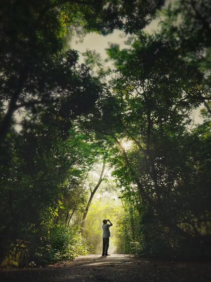 A silhouette of my dad standing in a forest path, framed by the arching trees. The light breaking through the canopy creates a magical, almost spiritual feeling.