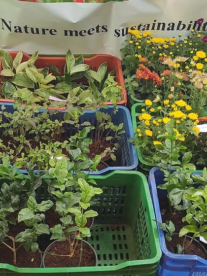 We are so proud of our students from HCC who hosted their own farmers market. After learning sustainable practices on our urban farm, they grew and marketed their own leafy greens, plants, and vegetables.