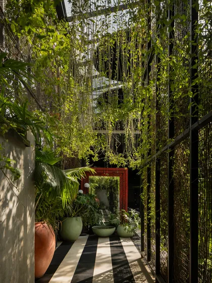 A narrow passage becomes a verdant corridor, with vines hanging like a curtain and light filtering through the leaves. This transitional space demonstrates how even functional areas can be transformed into immersive natural experiences through thoughtful biophilic design.