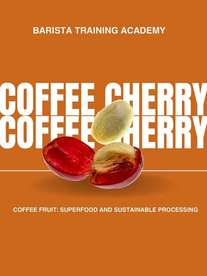 An illustration of a coffee cherry, which is a superfruit packed with antioxidants. We teach about the entire plant, not just the bean.
