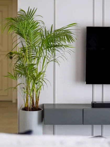 The TV wall features vertical grooves and a beautiful ornamental moulding at the top, adding texture and architectural interest to the space.