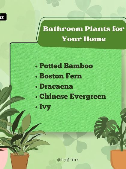 Hygrinz - Garden Design & Landscaping Your Guide to a Green Thumb photo 8