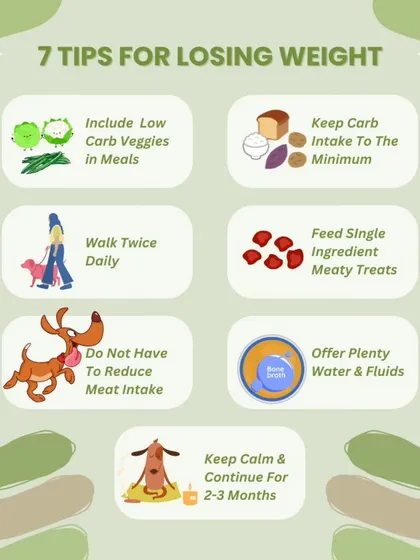 Helping your doggo lose a little weight doesn't have to be complicated. We created this simple guide with tips that have worked for our own pets. It's all about making small, smart changes like choosing low-carb veggies and single-ingredient treats, without reducing their essential meat intake.