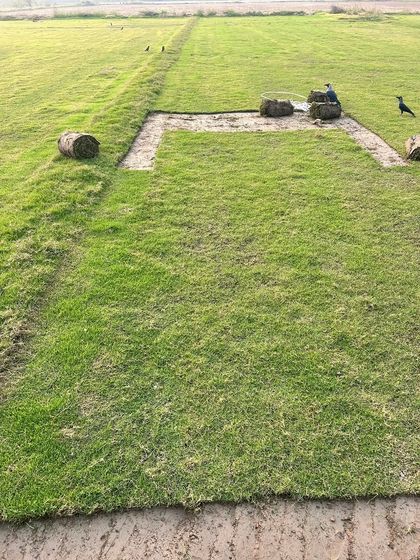 A section of my grass farm showing where turf has been recently harvested. This is proof that every order is cut fresh.