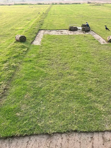 A section of my grass farm showing where turf has been recently harvested. This is proof that every order is cut fresh.