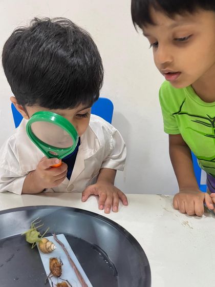 Two students team up to observe a variety of insects. Collaborative learning helps them share their discoveries and build excitement together.