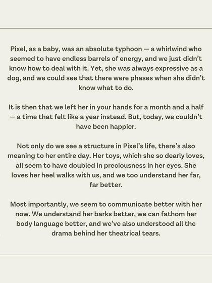 Pixel's family shares how our program brought structure and meaning to her life, improving their communication with her.