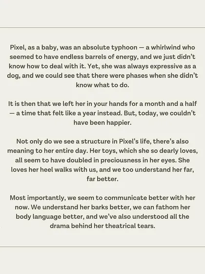 Pixel's family shares how our program brought structure and meaning to her life, improving their communication with her.
