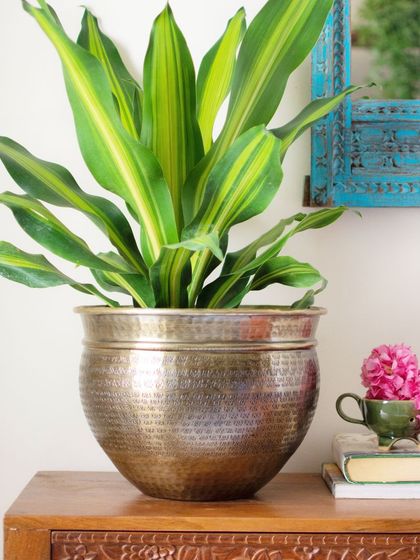 Thorny Affair - Pots & Planters Handcrafted Metal Planters photo 7