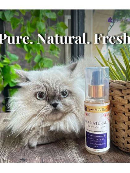 PawsnCollars - Pet Grooming & Spa Ava Naturals: Luxury Pet Cologne photo 6