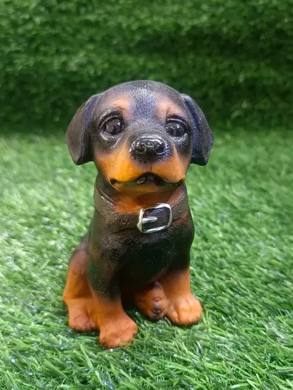 This little Rottweiler puppy showpiece has such a sweet expression.