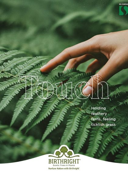 The sense of touch. Feeling the texture of feathery ferns or ticklish grass connects us to the earth in a grounding, tactile way.