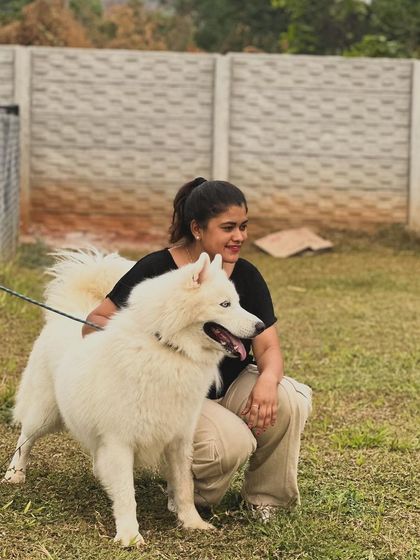 The Pawsome Camp - Dog Daycare & Boarding Happy Campers & Their Humans photo 9