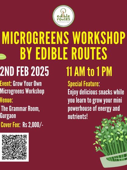 Our Microgreens Workshop is also coming to Gurgaon! Join us to learn everything from potting mix preparation to harvesting.
