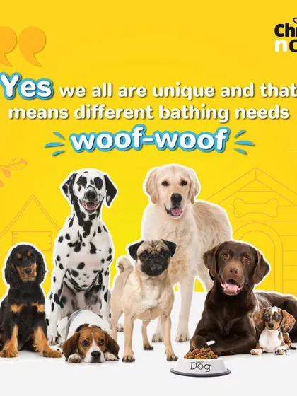 Every dog is unique, and that means they have different bathing needs. We customize our approach for every furry friend.