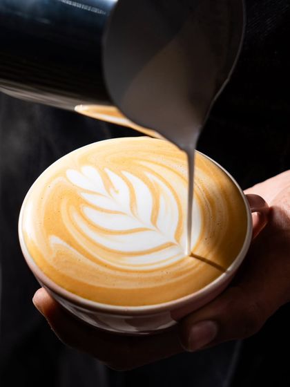 Dynamic Action Shots photo 11