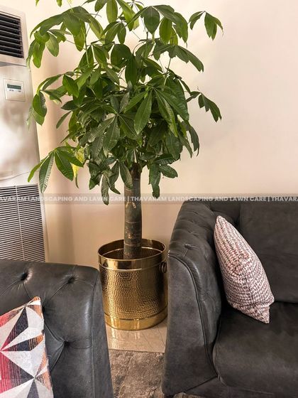 Plant Styling for Homes photo 3