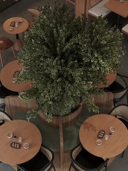 This top-down view showcases our approach to space planning and creating a functional customer flow. We designed distinct seating zones around the central tree, including intimate tables for two and larger arrangements, ensuring the layout is both visually interesting and practical for a busy cafe.