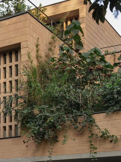 The facade of the Debris Block House showcases how integrated planters allow greenery to cascade down the walls, softening the structure and enhancing the connection to nature.