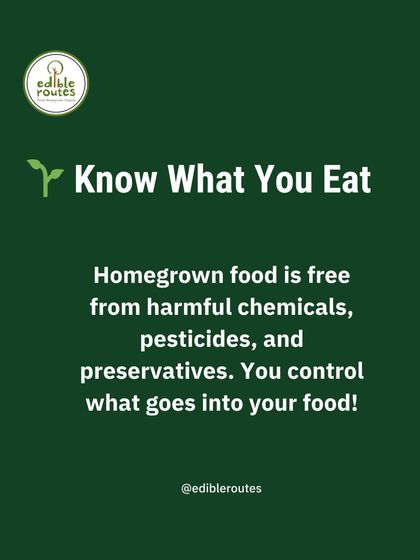 When you grow your own food, you know exactly what you're eating. It's free from harmful chemicals, pesticides, and preservatives because you control the entire process.