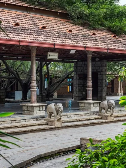 A view of the main pavilion entrance, framed by lush greenery, giving a sense of arrival into a hidden, natural world.