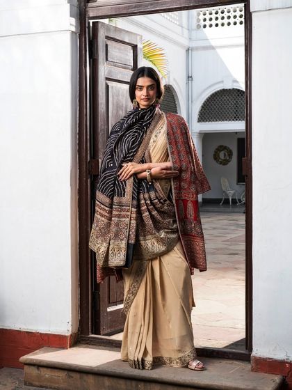 The Art of the Saree photo 10