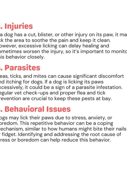 Woofly - Home Veterinary Services Common Health Questions photo 4