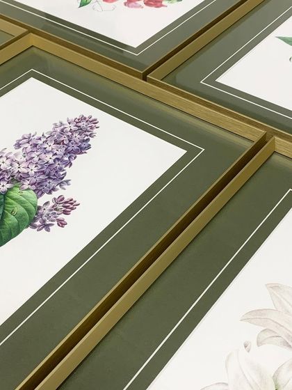A detail shot showing a beautiful combination of vibrant olive green matting with a double-line accent, paired with a lavish gold Osaka metal frame that wonderfully enhances these botanical artworks.