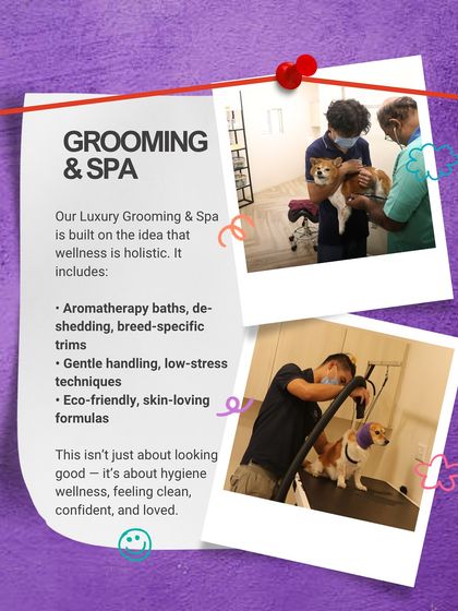PawsnCollars - Pet Grooming & Spa Our Philosophy & Facilities photo 3