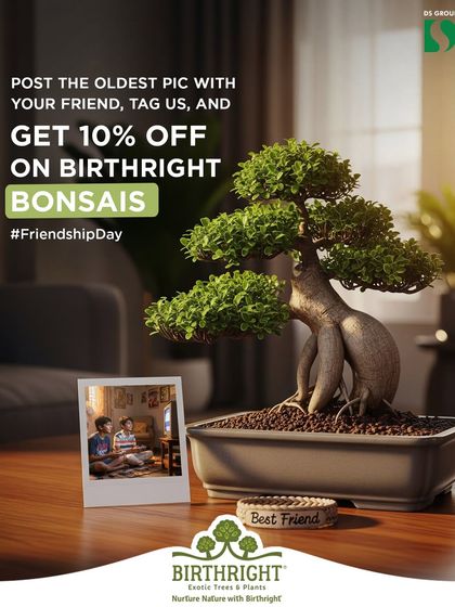 Just like a friendship, a bonsai starts small and, with care, grows into something beautiful and strong. It's the perfect gift to celebrate a bond that has been nurtured over time.