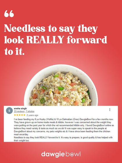 When pets get excited for mealtime, you know you're doing something right. This review from a parent of a Husky and a Dalmatian shows how our tasty and varied recipes keep them looking forward to their food, helping with weight management too.