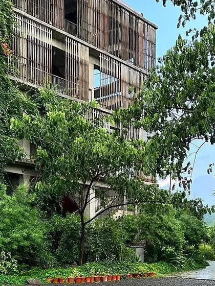 This is the Avasara Academy campus after a few monsoon seasons. It is wonderful to see how the native plants have matured, creating a dense, green sanctuary that envelops the architecture and provides a rich learning environment for the students.