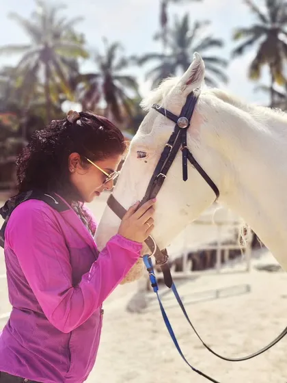 A series of shots showing the gentle affection and bond between a rider and her horse during a break on a sunny day outdoors.