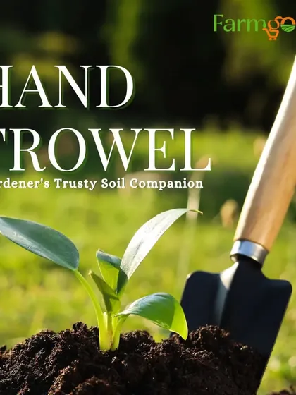 My hand trowel is a trusty companion for working with soil. This one is designed with a sturdy wooden handle and a durable metal head, perfect for planting a new seedling.