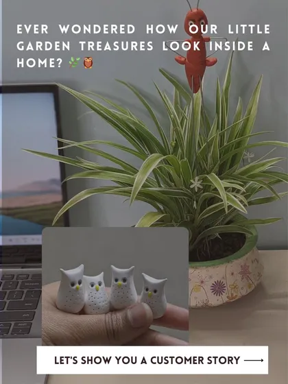 Ever wondered how my little garden treasures look inside a home? A customer in Kolkata used this ant stake and owl decor as part of a chic collectible display.