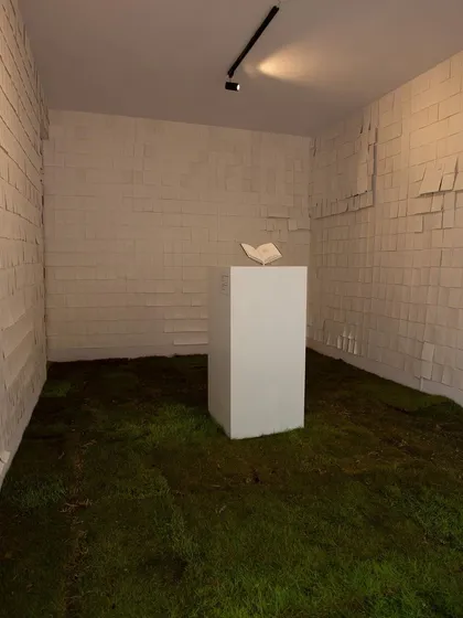 An art installation transforming our studio into an immersive experience with grass-covered floors and paper-lined walls. The space is a blank canvas, perfect for artists who want to create unique, thought-provoking exhibitions and installations.