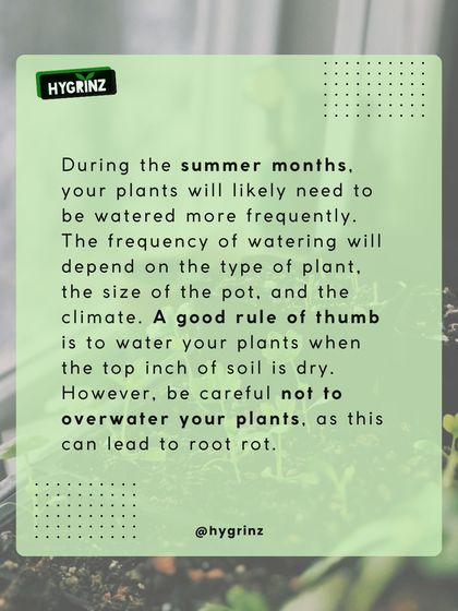Hygrinz - Garden Maintenance Gardening Know-How: Tips & Techniques photo 9