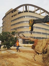Tree Transplantation