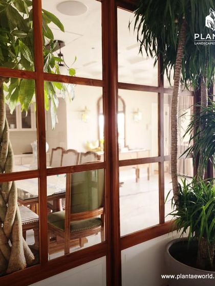 Indoor & Balcony Plantscaping photo 5