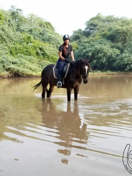 A rider and her horse stand peacefully in the middle of a natural pool. This image perfectly illustrates the trust between our riders and horses, who are completely at ease in the natural water bodies along our trails.