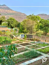Edible Garden Design & Installation