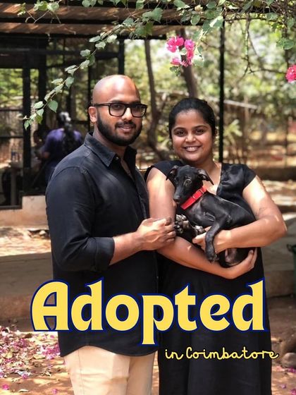 A happy couple in Coimbatore poses with their newly adopted black puppy.