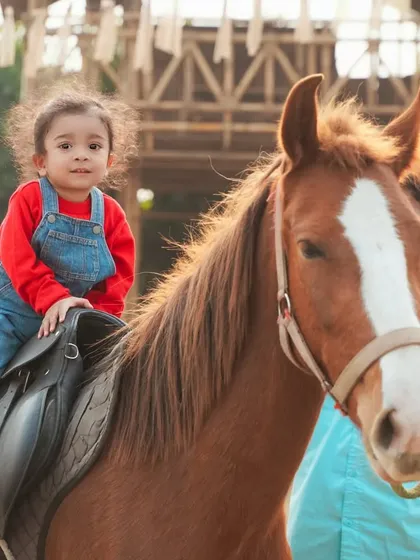 Capturing pure childhood joy and adventure. This little girl looks so happy and confident during her first pony ride at an outdoor birthday celebration.