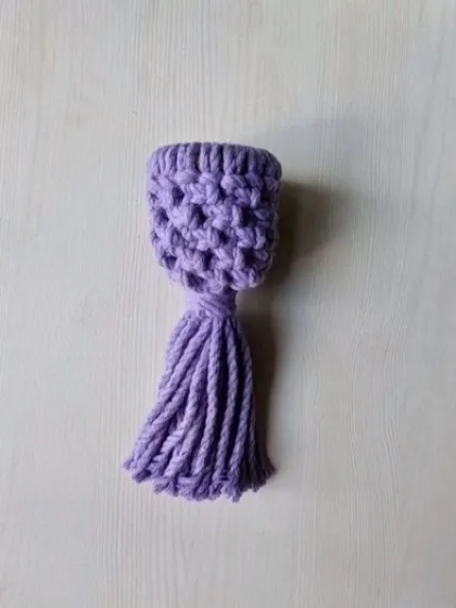 The purple mini plant hanger, a cute and low-maintenance decor piece.