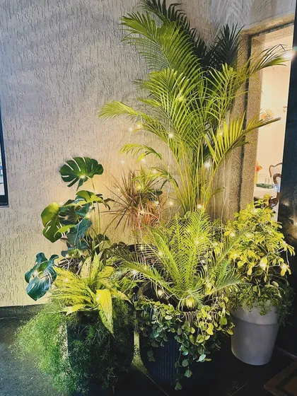 I love making entrances that feel special. For this Lonavala bungalow, I created a lush green corner with a mix of tropical plants like Areca Palm and Monstera, adding fairy lights to give it a magical glow at night.