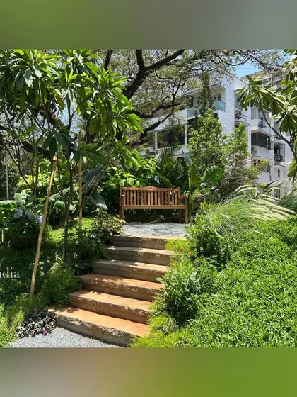 A wooden bench sits at the top of a set of rustic stone steps, offering a destination and a place to enjoy a new perspective of the garden.