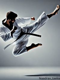 Taekwondo & Martial Arts Training