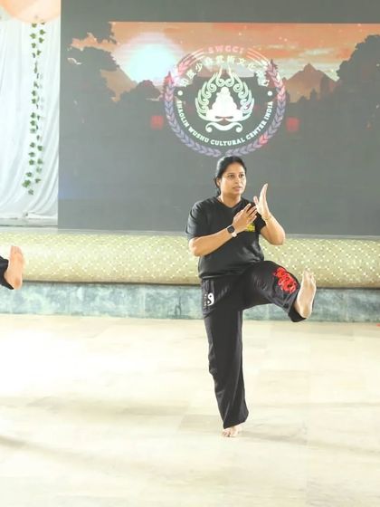Demonstrating a fundamental Wushu stance on stage. Perfect form is crucial for generating power and maintaining balance in all martial arts movements.
