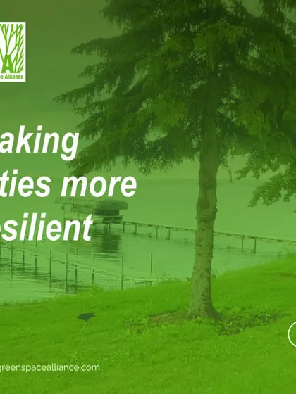 A serene lakeside view with the text "Making cities more resilient." This image represents our goal of transforming urban environments into places that can adapt to environmental challenges while fostering a sense of belonging for their communities.